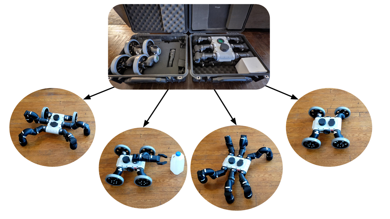 Various EigenBot Configurations